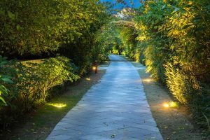 Long garden path at dusk lit by path lighting