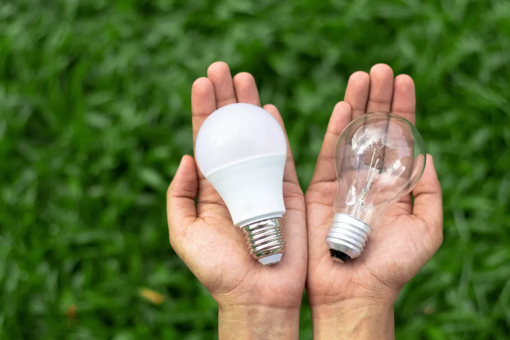 One hand holds an LED light bulb and the other holds an incandescent light bulb, comparing the two.